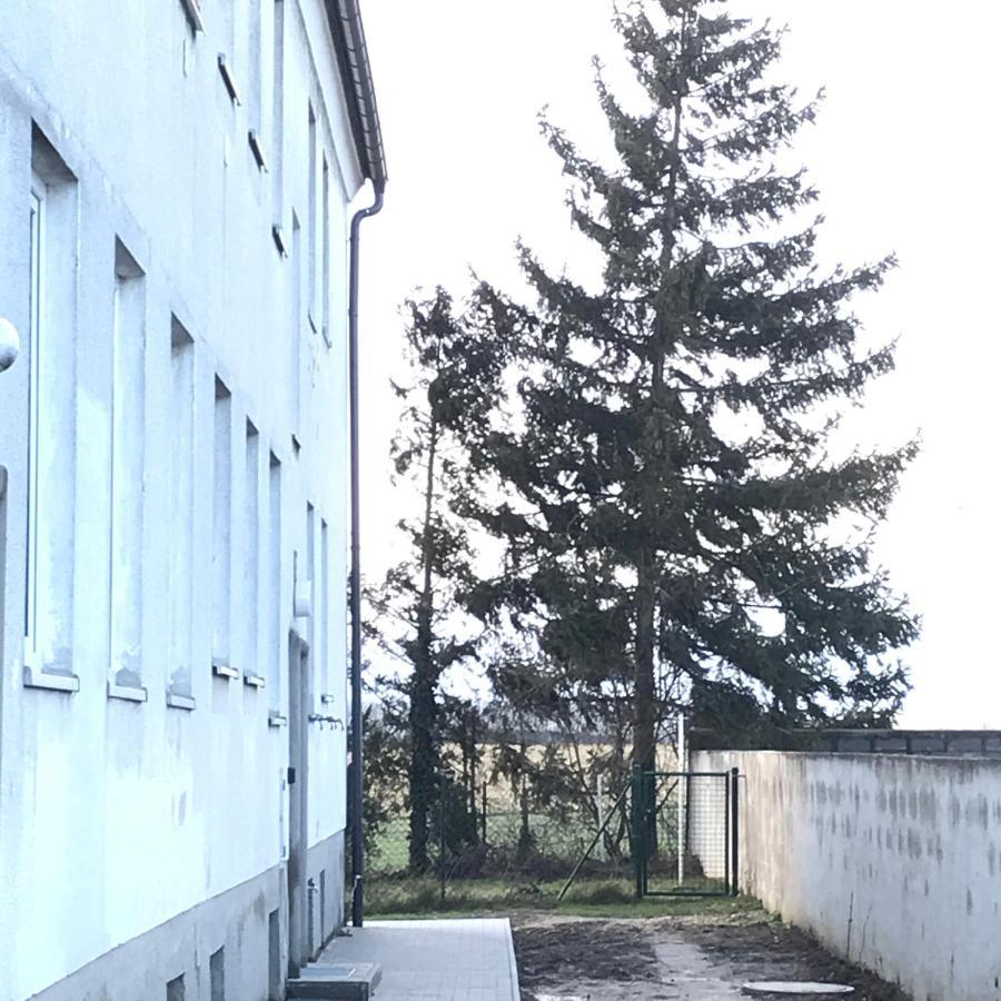 Lg Living Apartment Штоккерау Экстерьер фото